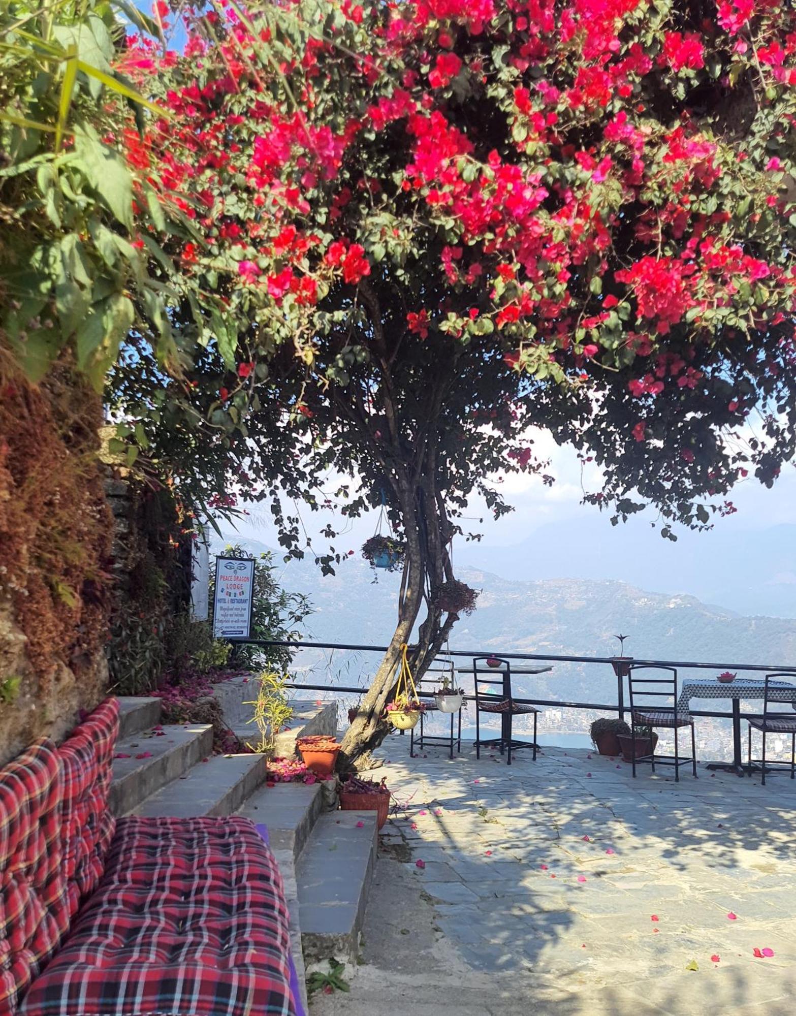 Peace Dragon Lodge Pokhara Exterior photo